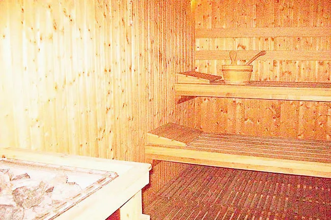 mgmansion-sauna